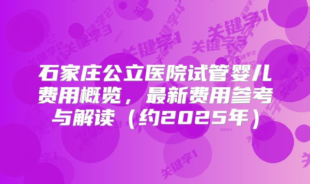 石家庄公立医院试管婴儿费用概览，最新费用参考与解读（约2025年）