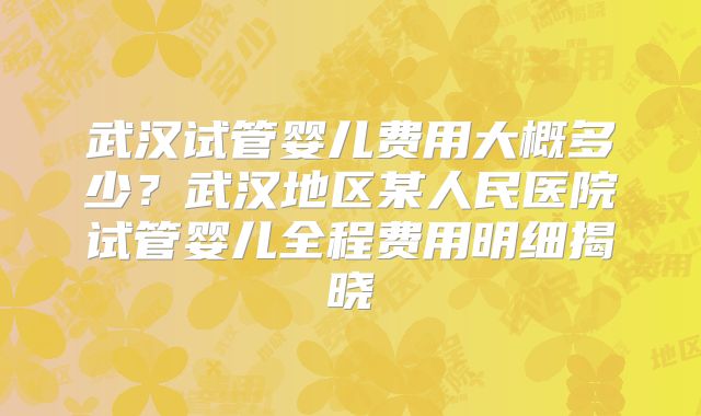 武汉试管婴儿费用大概多少？武汉地区某人民医院试管婴儿全程费用明细揭晓