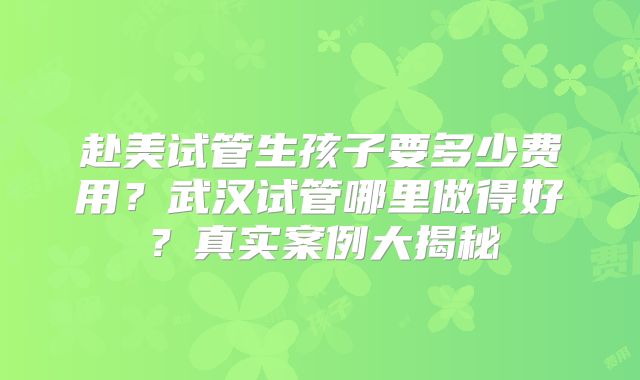 赴美试管生孩子要多少费用？武汉试管哪里做得好？真实案例大揭秘