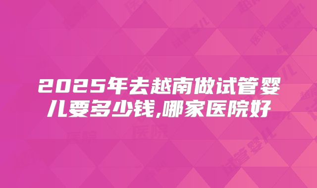 2025年去越南做试管婴儿要多少钱,哪家医院好