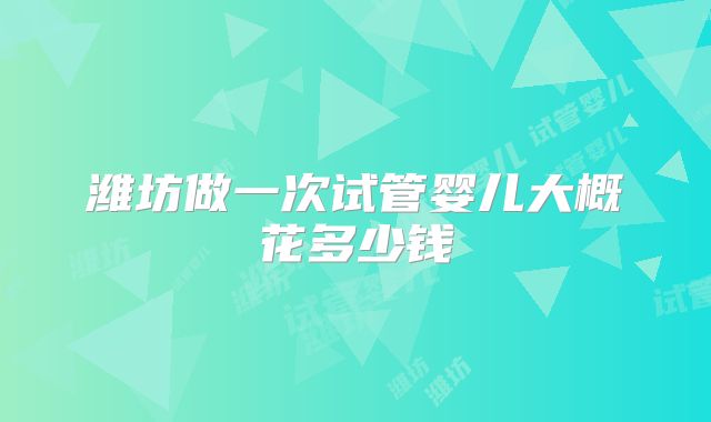 潍坊做一次试管婴儿大概花多少钱