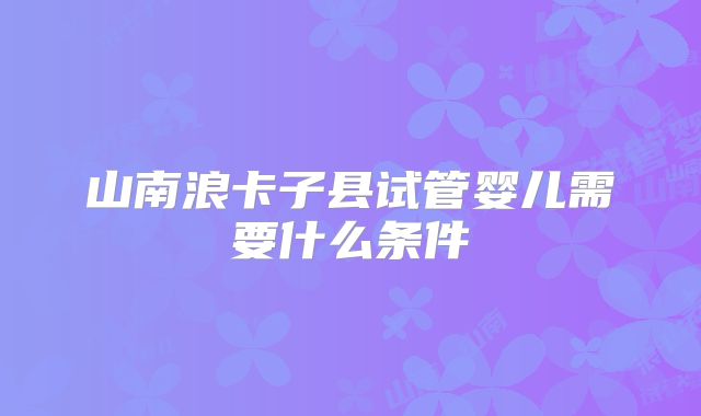 山南浪卡子县试管婴儿需要什么条件
