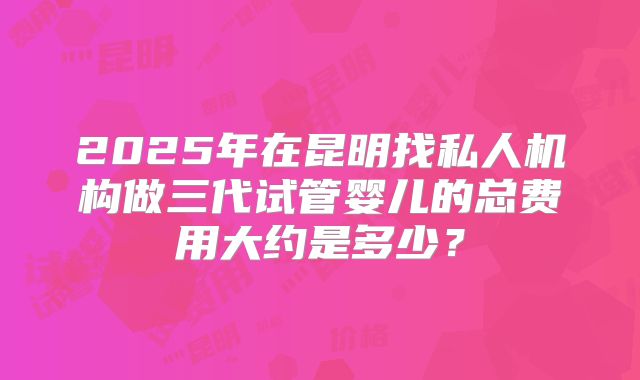 2025年在昆明找私人机构做三代试管婴儿的总费用大约是多少？