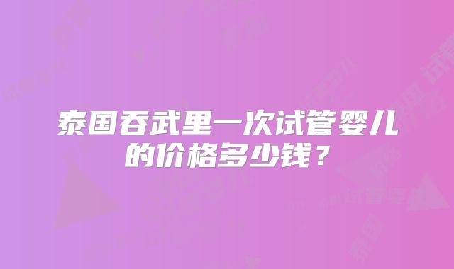 泰国吞武里一次试管婴儿的价格多少钱?