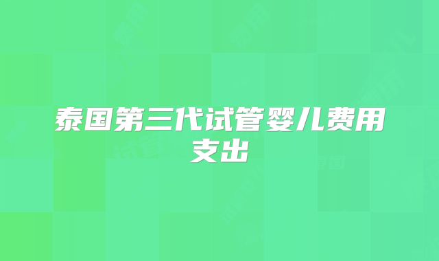 泰国第三代试管婴儿费用支出