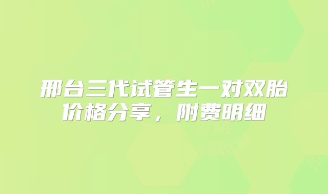 邢台三代试管生一对双胎价格分享，附费明细