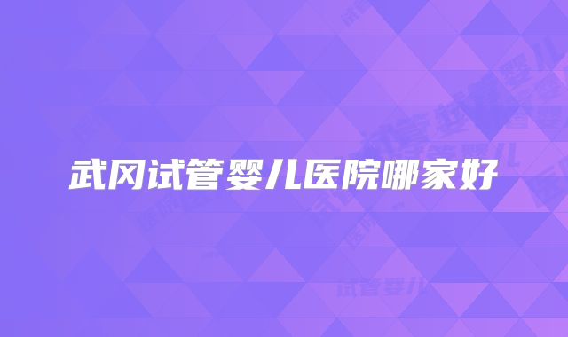 武冈试管婴儿医院哪家好