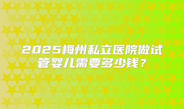 2025梅州私立医院做试管婴儿需要多少钱？