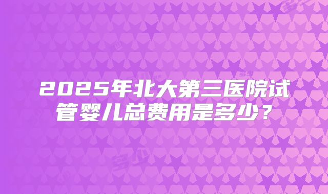2025年北大第三医院试管婴儿总费用是多少？