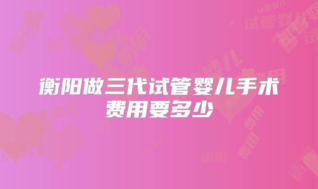 衡阳做三代试管婴儿手术费用要多少