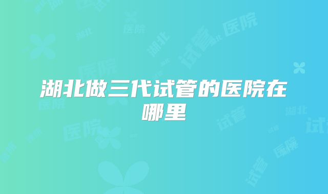 湖北做三代试管的医院在哪里