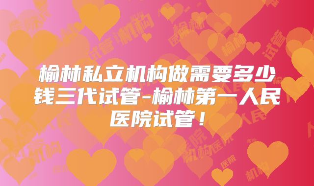 榆林私立机构做需要多少钱三代试管-榆林第一人民医院试管！