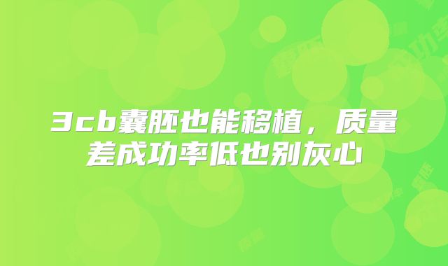 3cb囊胚也能移植，质量差成功率低也别灰心