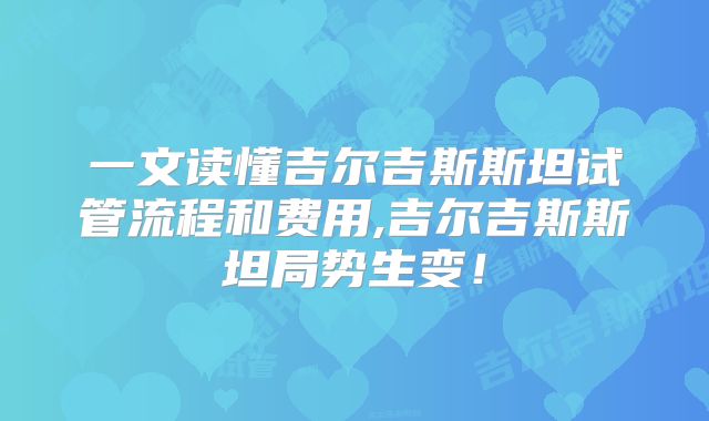 一文读懂吉尔吉斯斯坦试管流程和费用,吉尔吉斯斯坦局势生变！