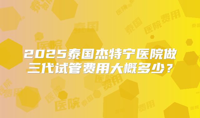 2025泰国杰特宁医院做三代试管费用大概多少？