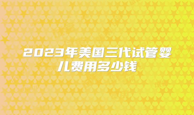 2023年美国三代试管婴儿费用多少钱