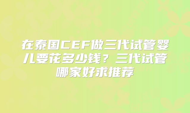在泰国CEF做三代试管婴儿要花多少钱？三代试管哪家好求推荐