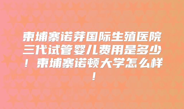 柬埔寨诺芽国际生殖医院三代试管婴儿费用是多少!柬埔寨诺顿大学怎么样!