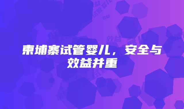 柬埔寨试管婴儿，安全与效益并重