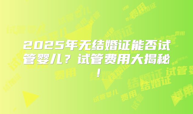 2025年无结婚证能否试管婴儿？试管费用大揭秘！