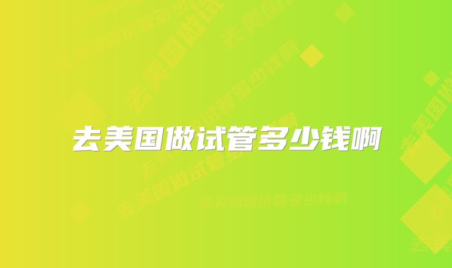 去美国做试管多少钱啊