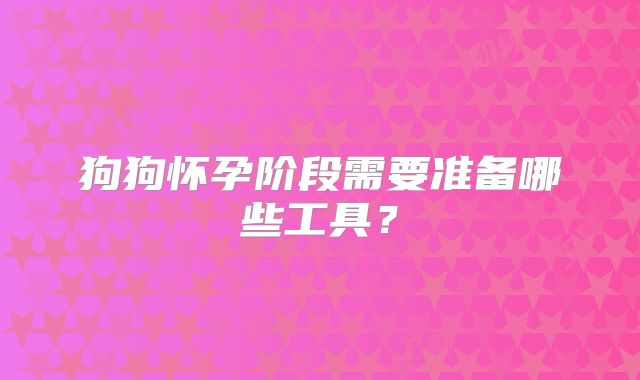 狗狗怀孕阶段需要准备哪些工具？