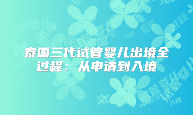 泰国三代试管婴儿出境全过程：从申请到入境