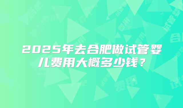 2025年去合肥做试管婴儿费用大概多少钱？