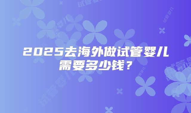 2025去海外做试管婴儿需要多少钱？