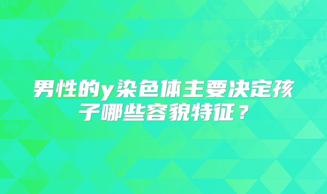 男性的y染色体主要决定孩子哪些容貌特征？
