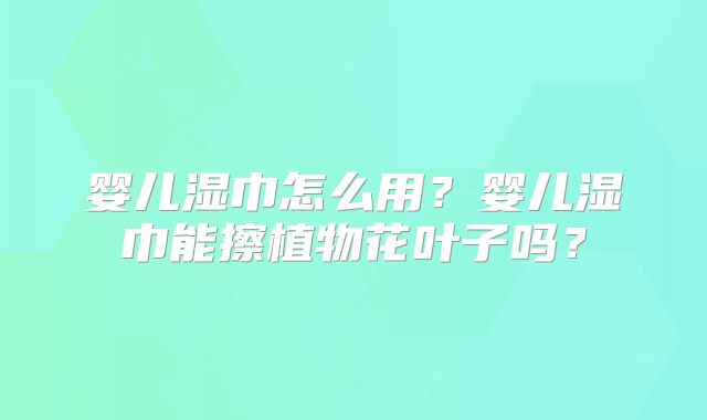 婴儿湿巾怎么用?婴儿湿巾能擦植物花叶子吗?