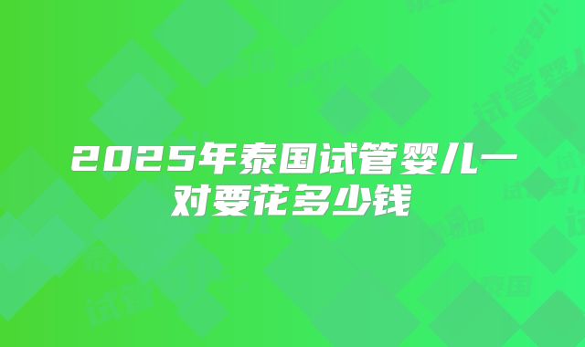 2025年泰国试管婴儿一对要花多少钱