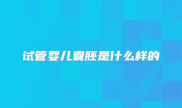 试管婴儿囊胚是什么样的