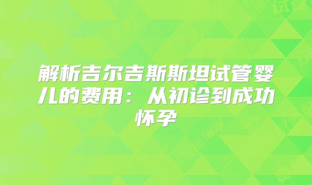 解析吉尔吉斯斯坦试管婴儿的费用：从初诊到成功怀孕