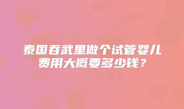 泰国吞武里做个试管婴儿费用大概要多少钱？