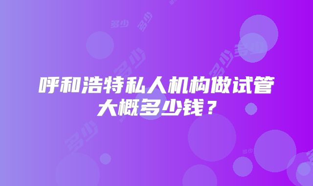 呼和浩特私人机构做试管大概多少钱？