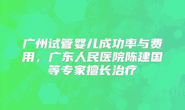 广州试管婴儿成功率与费用，广东人民医院陈建国等专家擅长治疗