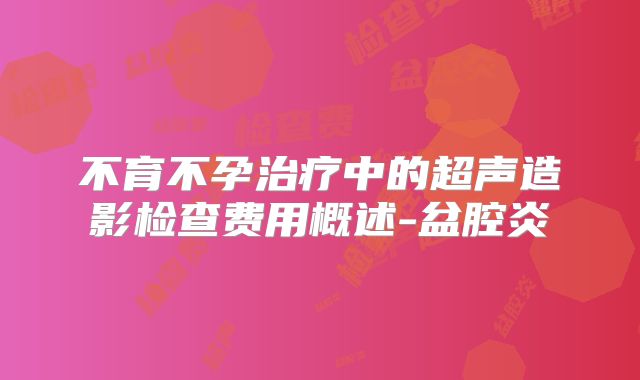 不育不孕治疗中的超声造影检查费用概述-盆腔炎