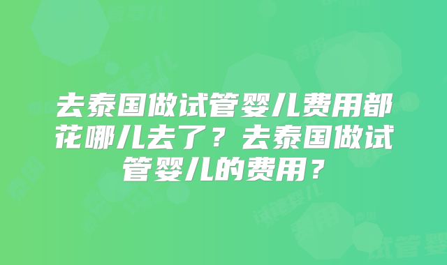 去泰国做试管婴儿费用都花哪儿去了？去泰国做试管婴儿的费用？
