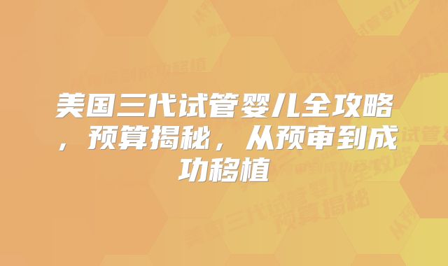 美国三代试管婴儿全攻略，预算揭秘，从预审到成功移植