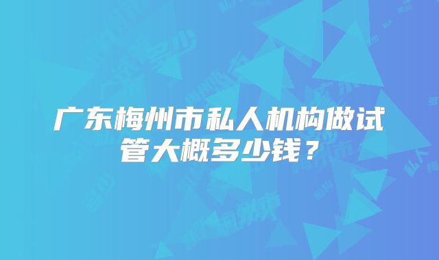 广东梅州市私人机构做试管大概多少钱？