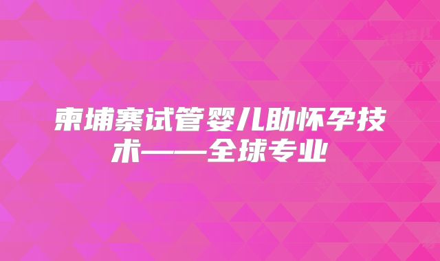柬埔寨试管婴儿助怀孕技术——全球专业