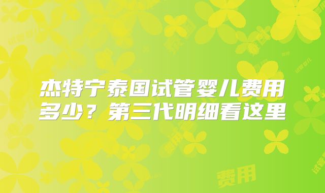杰特宁泰国试管婴儿费用多少？第三代明细看这里