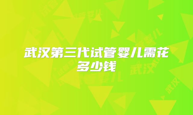 武汉第三代试管婴儿需花多少钱