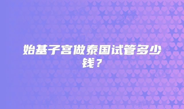 始基子宫做泰国试管多少钱？
