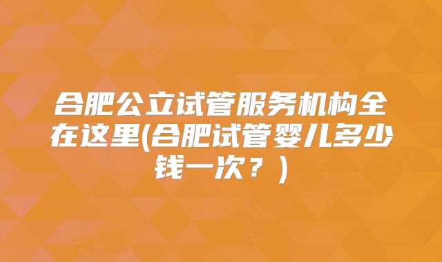 合肥公立试管服务机构全在这里(合肥试管婴儿多少钱一次?)