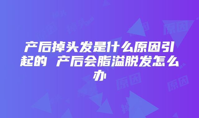 产后掉头发是什么原因引起的 产后会脂溢脱发怎么办