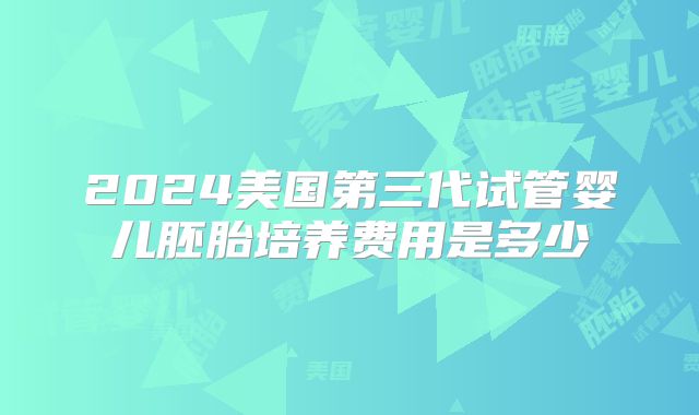 2024美国第三代试管婴儿胚胎培养费用是多少