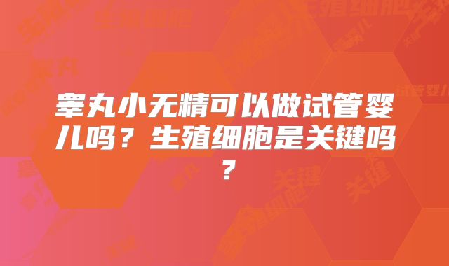 睾丸小无精可以做试管婴儿吗？生殖细胞是关键吗？
