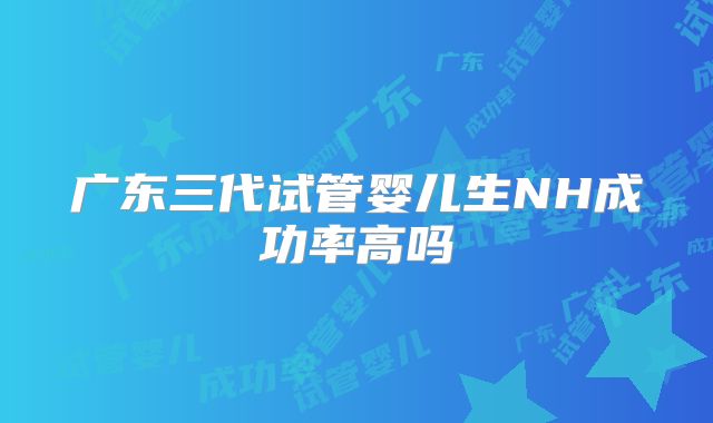 广东三代试管婴儿生NH成功率高吗